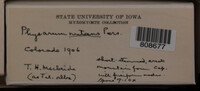 Image Associated With the Occurence